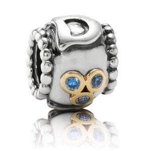 HTF! Pandora Dad Charm